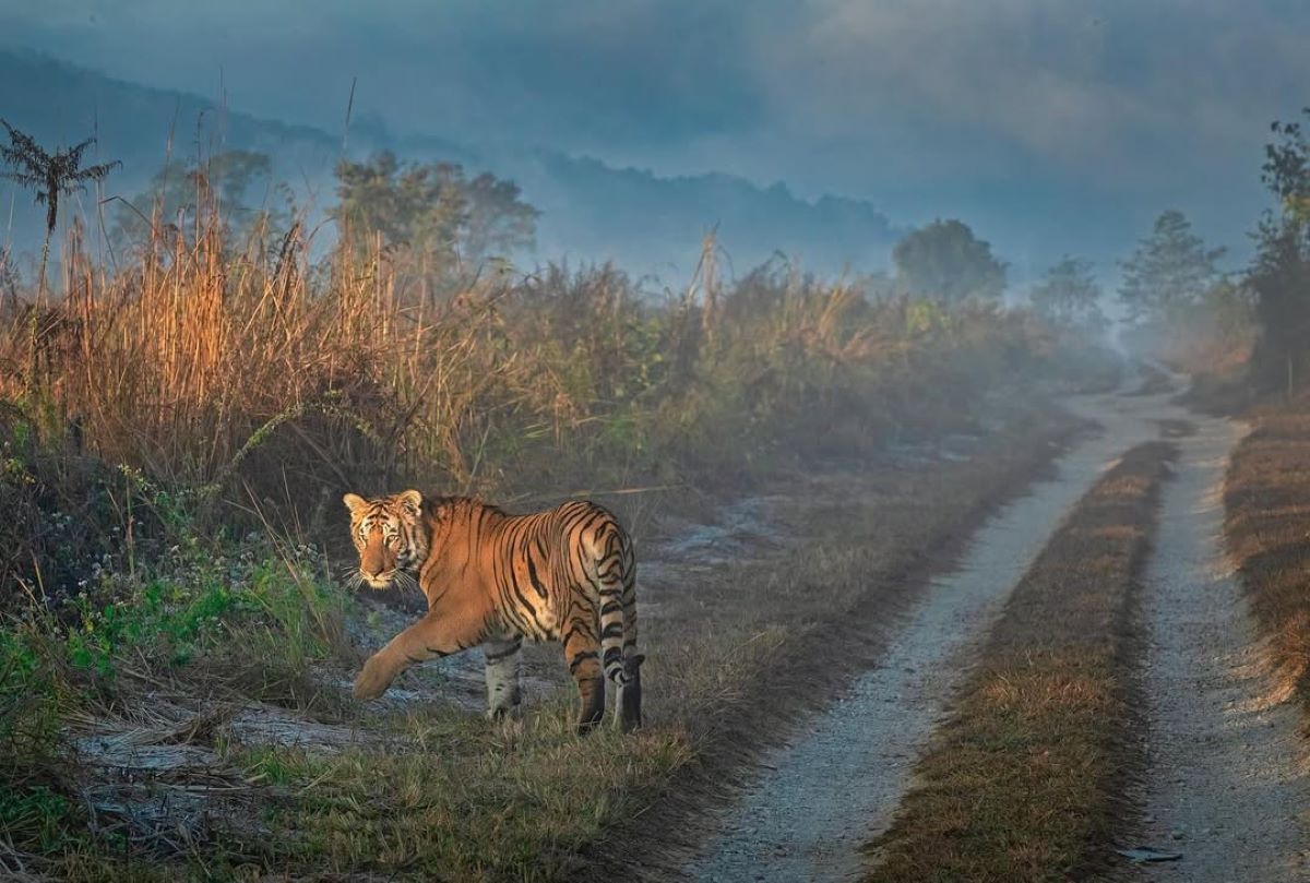 Uttarakhand Tour Gallery